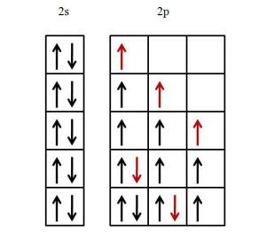 Principio de máxima multiplicidad explicación