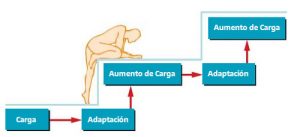 explicación del Principio de continuidad