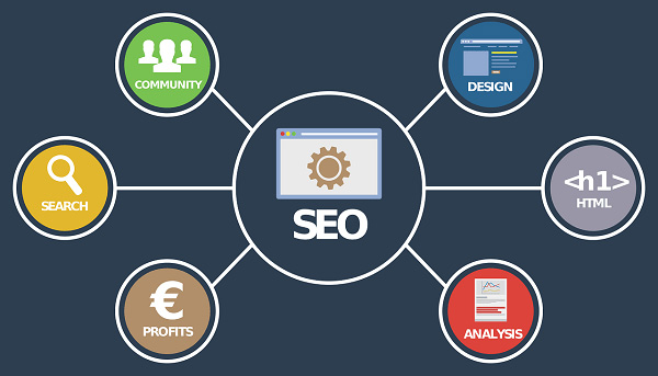 cuáles son los principios del SEO
