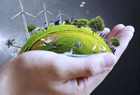 Principios del desarrollo sustentable