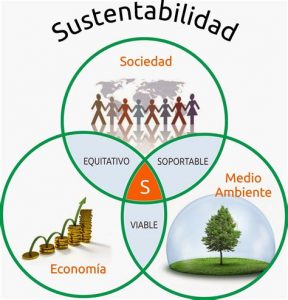 Principios del desarrollo sustentable