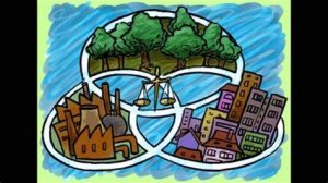 Principios del desarrollo sustentable