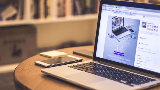Principios de diseño web