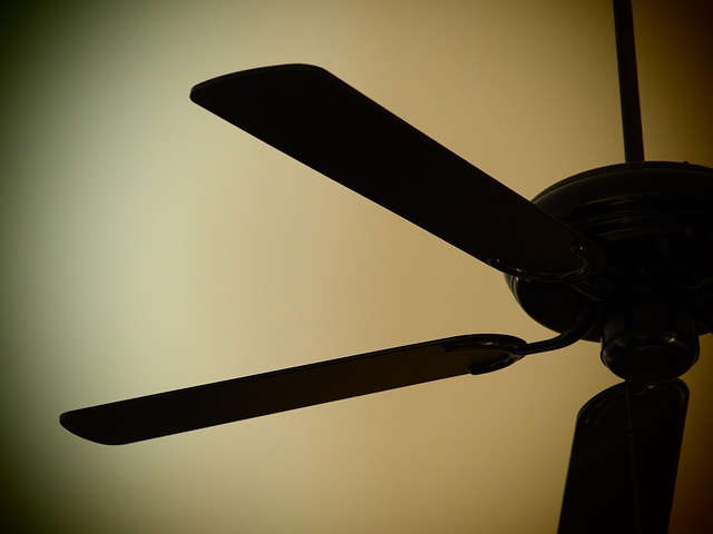 ¿Qué tener en cuenta al elegir un ventilador de techo?
